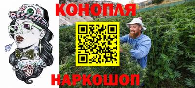 амф Гай