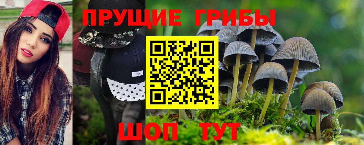 Пушкино  Галлюциногенные грибы мухоморы  Вход с VPN 